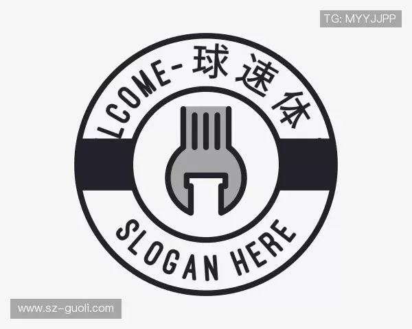 了解球速体育